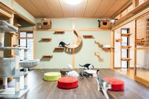 Fotografie z fotogalerie ubytování ねこ蔵の宿 飛騨 v destinaci Hida