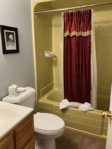 a bathroom with a toilet and a shower at Big Sky Lodge in Rapid City
