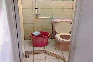 een badkamer met een roze toilet en een emmer bij Kalingga Sekar in Yogyakarta