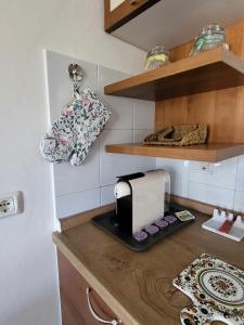 A kitchen or kitchenette at Appartamenti Vanacore