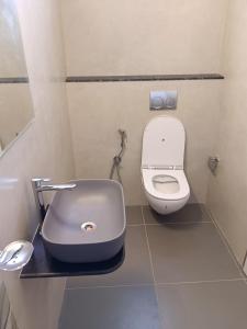 uma pequena casa de banho com WC e lavatório em Krishna Inn em Bangalore