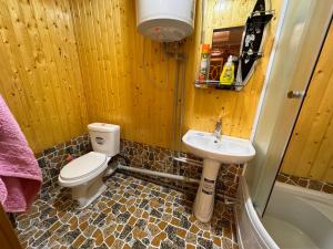 a bathroom with a toilet and a sink at Panjrud guest house in Panjakent