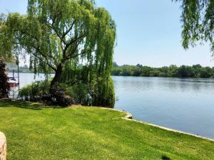 Gallery image of Sacred Ibis in Vanderbijlpark