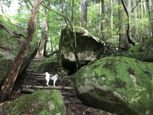 Gallery image of One of the best radon springs in the world Misasa Onsen A hot spring trip that makes you feel better when you stay over the morning three times 三朝町民泊 in Misasa +35 photos