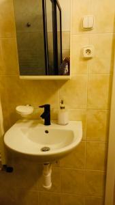 eine Person, die ein Bild von einem Waschbecken in einem Bad macht in der Unterkunft Duomo apartment in Košice