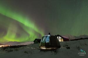 Příroda nedaleko luxury tent