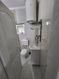 a small bathroom with a toilet and a sink at Vila Barcelona Curug in Čurug