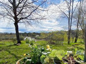 Gallery image of 6 person holiday home in HERRäNG in Herräng +15 photos