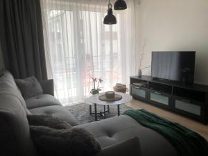 uma sala de estar com um sofá, uma televisão e uma mesa em Cosy 1 bedroom apartment in the heart of old town with parking em Kaunas