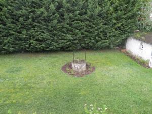 an aerial view of a yard with a tree at The good life 1 in Senlis