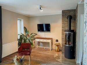 ein Wohnzimmer mit einem Kamin und einem TV an der Wand in der Unterkunft Apt Prinz Maximilian - Zentrum - Zimmerprinzen in Oldenburg