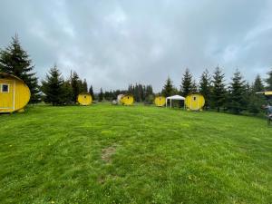 un groupe de tentes jaunes dans un champ dans l'établissement ЕКО СПА вила ОРЛОВЕЦЪ, à Batak