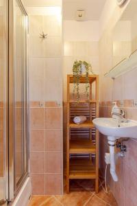 ein Bad mit einem Waschbecken und einer Dusche in der Unterkunft Sage Apartment Old Town Bratislava in Bratislava