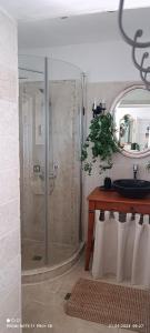 a bathroom with a shower with a sink and a mirror at House Albena in Durankulak