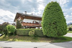Zahrada ubytování Residence Condor