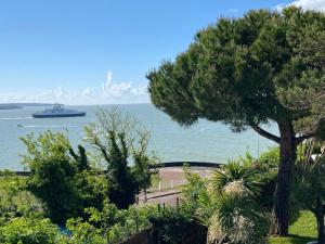 a cruise ship in the water with a tree at Villa face mer in Royan