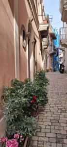 un grupo de plantas en una calle al lado de un edificio en Appartamenti Stella en Lipari