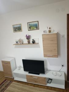 Μια τηλεόραση ή/και κέντρο ψυχαγωγίας στο Smeštaj Pejčić Dojkinci