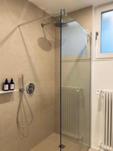 eine Dusche mit Glastür im Bad in der Unterkunft Lay-Zeit in Kottenheim