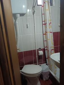 a small bathroom with a toilet and a sink at Smeštaj Pejčić Dojkinci in Pirot