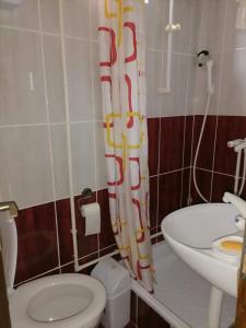 Ένα μπάνιο στο Smeštaj Pejčić Dojkinci