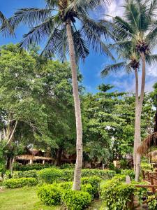 two palm trees standing next to each other at Nautilus Right on the Beach - Adult Only - SHA Extra Plus in Ko Lanta