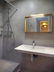uma casa de banho com um lavatório, um chuveiro e um espelho. em Les Pingouins de la Gare em Brest