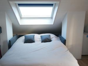 a bedroom with a large bed with a skylight at Villa Cathy Studio in Aix-les-Bains