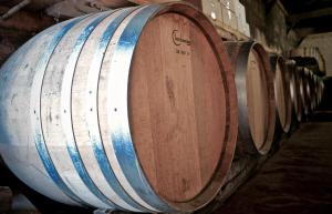 a row of wine barrels in a cellar at Chateau de la Vieille Chapelle in Lugon et l’Ile du Carney