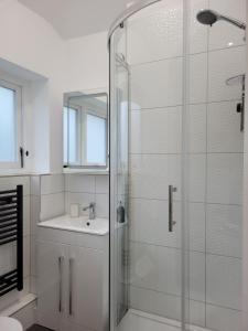 een badkamer met een wastafel en een glazen douche bij The Annexe at Albourne in Albourne