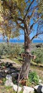un cartello su un albero di fronte a un albero di VILLA KARA - Bed and Breakfast a Mési