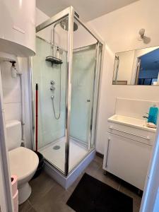 une salle de bain avec douche et toilettes dans l'établissement Charmant Studio 2 - Hyper centre - Musée Ingres-Tous Commerces à pied, à Montauban