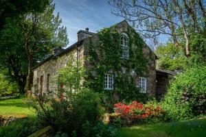 an old stone house is covered in ivy at Mountain Cottage in Llanaelhaiarn