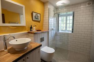 a bathroom with a sink and a toilet and a window at Mountain Cottage in Llanaelhaiarn