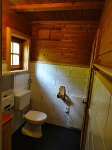 a small bathroom with a toilet and a window at Bergquellenhütte in Assling