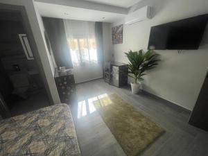 Televiisor ja/või meelelahutuskeskus majutusasutuses ANNI Guesthouse Hostel