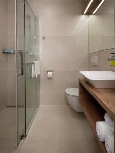 La salle de bains est pourvue d'un lavabo, de toilettes et d'une douche. dans l'établissement Ahotel Ljubljana, à Ljubljana