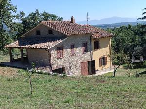 a house on a hill in a field at Le Querce in Montecchio