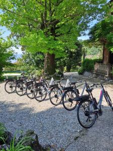 ขี่จักรยานที่ Casa della Gioia - Appartamento Due Balconi หรือบริเวณรอบ ๆ