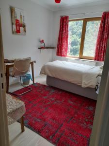 a bedroom with a bed and a window and a red rug at Turkish Mountain Retreat in Saadet