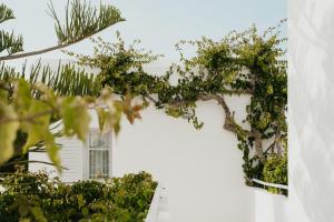 Zahrada ubytování Mr and Mrs White Paros