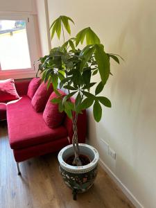 Varenna Guest House في فارنا: يوجد خزاف في غرفة المعيشة بجوار أريكة حمراء