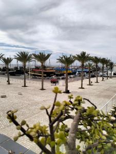 een rij palmbomen op een parkeerplaats bij 119 camus 120 in Houmt Souk