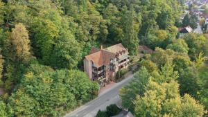 eine Luftansicht eines Hauses inmitten eines Waldes in der Unterkunft Hotel Luise in Bad Bergzabern