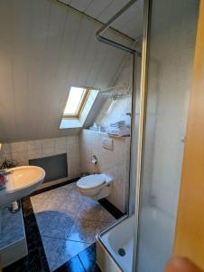 La salle de bains est pourvue de toilettes, d'un lavabo et d'une douche. dans l'établissement Apartment Am Horstberg, à Wernigerode