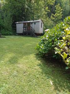 'Morris' the shepherd's hut and woodland hot tub experience外面的花园