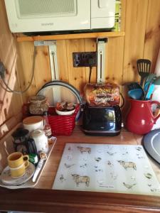 'Morris' the shepherd's hut and woodland hot tub experience的厨房或小厨房