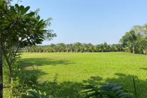 a large field of grass with trees in the background at Pegasus Lifestyle Resort Karjat in Karjat