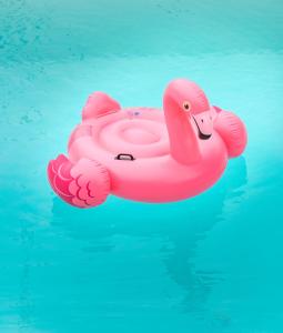 un flamenco rosa flotando en el agua en Villaggio Mietta, en Castiglioncello