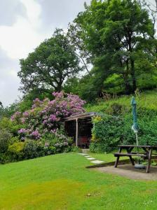 a picnic table and a bench in a park at 'Morris' the shepherd's hut with woodland hot tub in Carmarthen